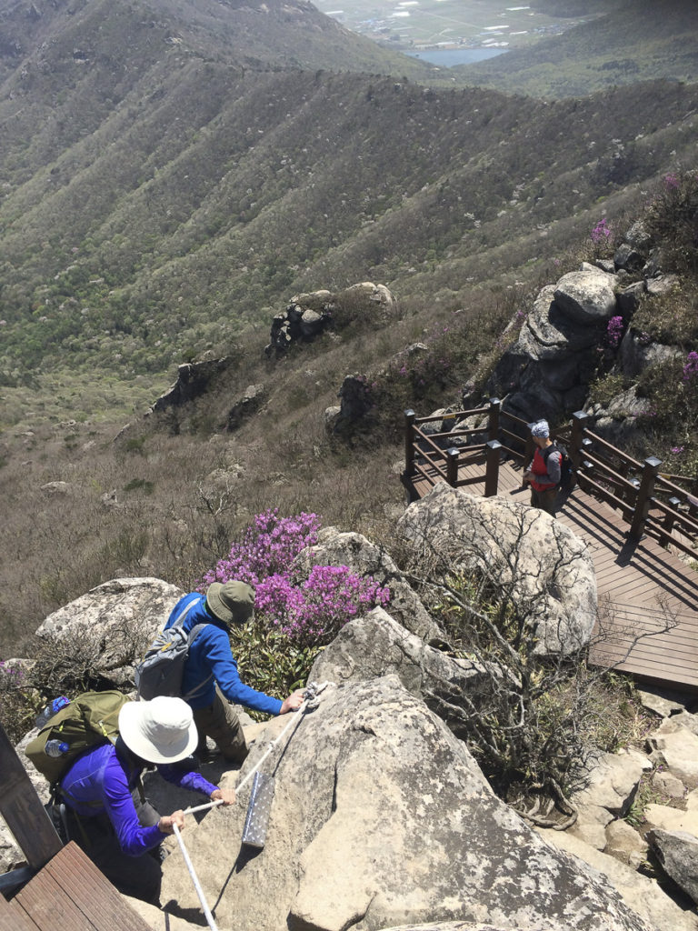 Multi-day guided hikes in South Korea