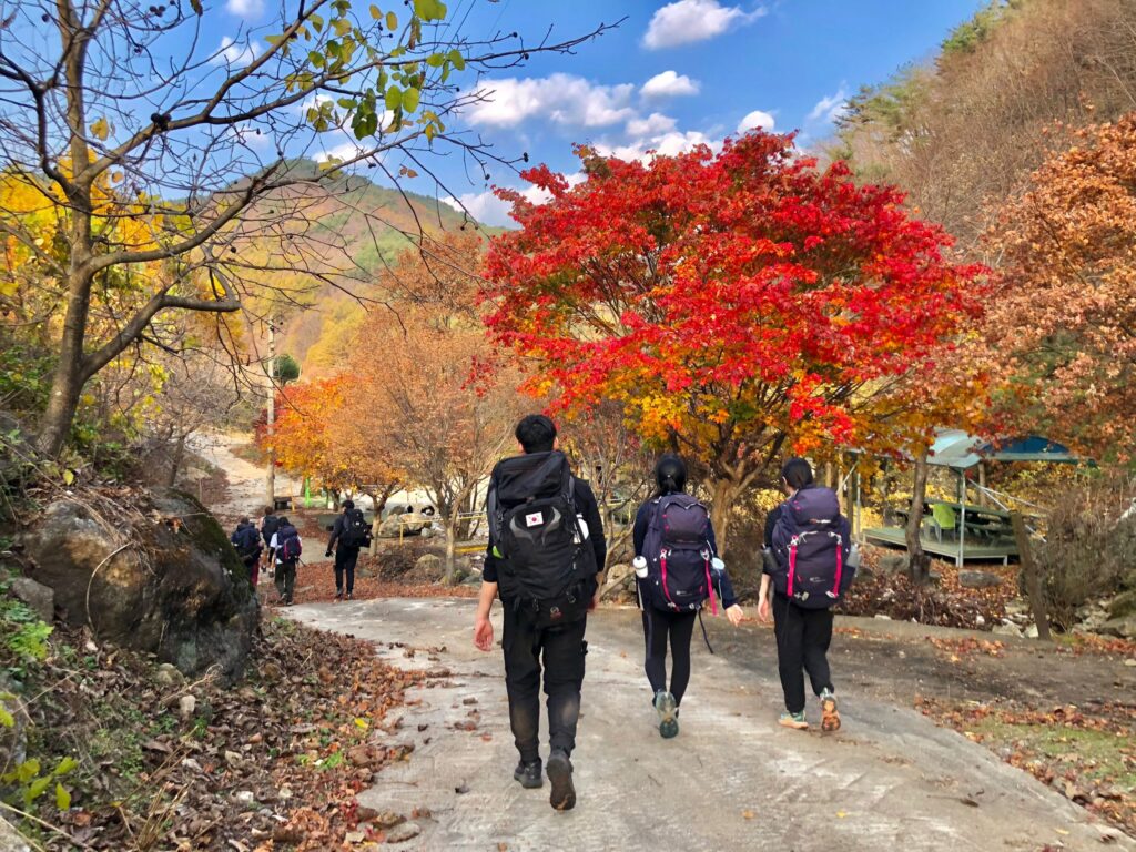 Duke of Edinburgh Award in South Korea