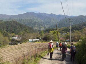 A week&rsquo;s a long time in the mountains and valleys of Korea. You don&rsquo;t have to travel far to feel that lengthness. 
The contrasts are effected by geography. 
As you weave along the northern bends of the Jirisan mountain cluster, you move from town to town, people to people. This is the Jirisan Dulle-gil. 
The trails in Korea connect mountains with culture and history. 
A superb week with nine remarkable Australian guests. 
It is hard to describe. Because I know what I felt, but was working all the time to ensure they could see the vision I see. To give them the chance to see that. 
They were a mixture of meat eaters and vegetarians. I seconded Korean colleagues for this. Every meal was a total success. They were never hungry or dissatisfied with what they ate. Korean food, really has an immense amount of greenery and meat. Especially when it is served fresh in the valleys of a sparkling Jirisan. 
We never saw another foreign traveler in the whole week. In 100kms from Namwon to Sancheong. Between that, we passed and stayed in Unbong, Inwol and Hamyang. Everything was rural. Hamyang likely the highlight of the nightlife. 
The Koreans everywhere we went were a blessing. Always gracious and low key with the confucian pressure they must feel when not knowing how nine elderly Australians might feel about their delivery of service and the quality of their products. It is cultural exchange. 
Sometimes I have no way of knowing what could happen, cause we are humans. But to be truthful I do. This is what makes it surrealer. #지리산둘레길 #jirisandullegil #hikekorea #hikinginkorea #jirisan