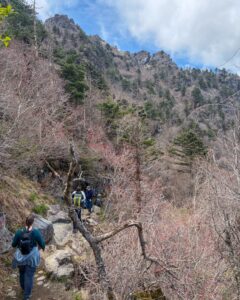 In many ways it was a resounding hike. Thirteen hours from the lower car park and back. Jirisan is a steep course. The hike up to Cheonwangbong (1915m) is 1300m in only 5km. This was a good reminder for my two American guests. I find it hard to determine the exact time it will take to do the loop course. 8-12hrs. Big variance. 
It was a pearler of a day. The weather was stunning. Spring greens and a heaven blue sky. A cool zephyr. At the summit area it was windier and colder. Even in the afternoon, hoar frost 상고대 stuck horizontally from trees and remained in the cracks of rocks. 
The only thing open by the time we get back to the dark, still carpark was the GS25. It had a low-lit hall with a black backdrop. A few misfit night hikers sat at some the tables. We cooked our noodles at the hot water dispenser, threw in some soft boiled eggs, cheese, took a table and washed it down with cold beer. Fantastic achievement for them two. Strong memories of Korea from this. They never shirked for a moment. Chur.